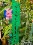 P7060580