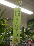 P7060569