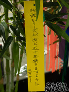 P7060567