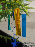 P7060593