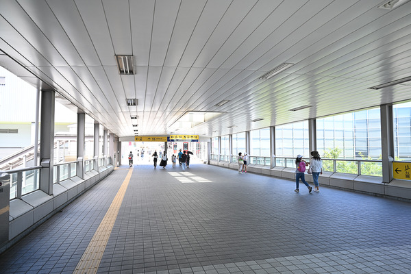 コミケ96東京ビッグサイト事前調査002