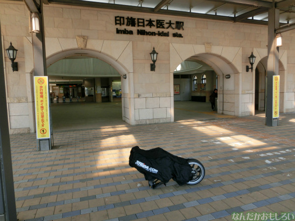 CIMG4974