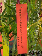 P7060544