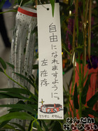 P7060562