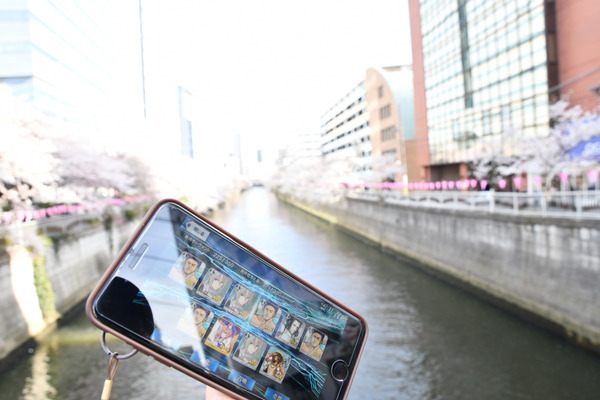 目黒川FGO桜ガチャ-4