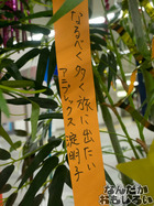 P7060573