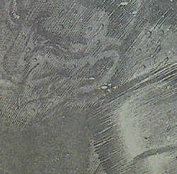 20130116_071645