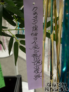 P7060581