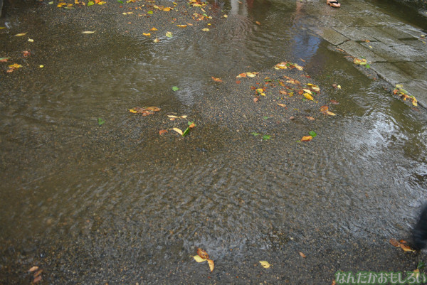 『鷲宮 土師祭2013』ゲリラ雷雨の様子_0667