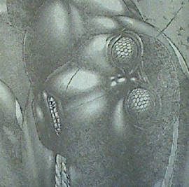 テラフォーマーズ　第67話感想　なんだよこいつは・・・