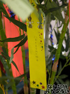 P7060545