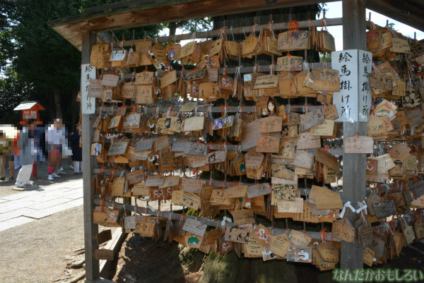 鷲宮神社の痛絵馬_0489