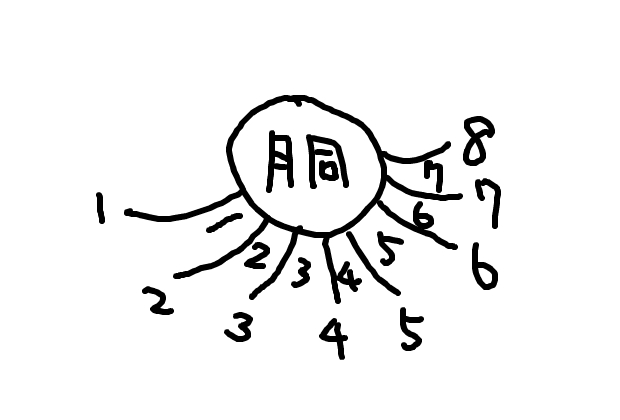 股の数え方が分かりません ザンギリアタマ