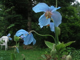 2ec90899.JPG