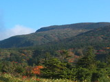����٤򸫤�
