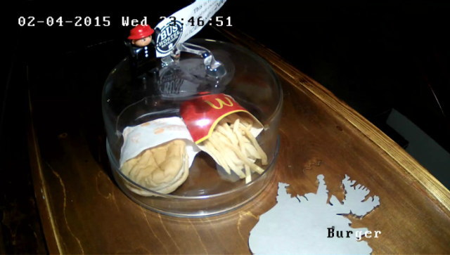 腐らないハンバーガー