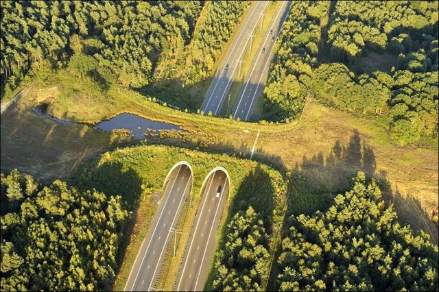 image_1