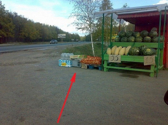 ロシアのオービス_1