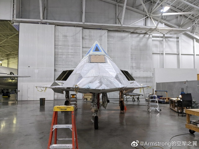 F-117 無塗装_2