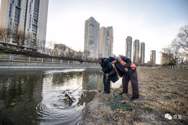 北京 シェア自転車_4