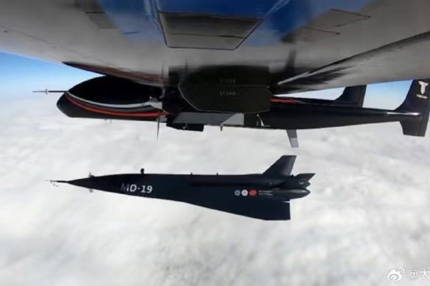 MD-19