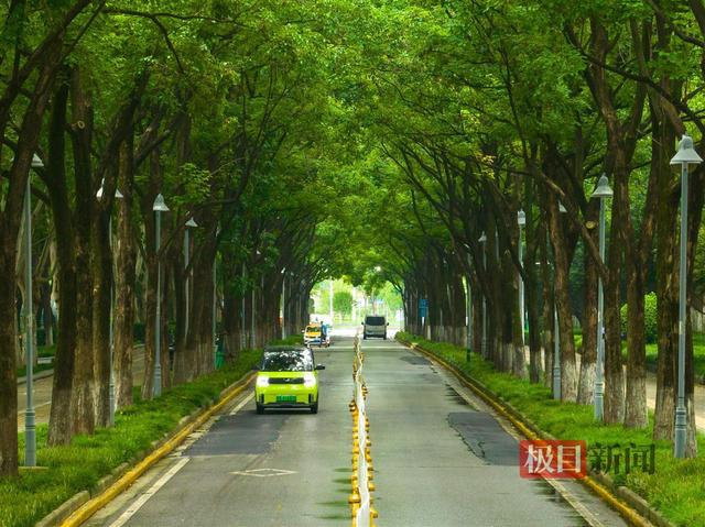 後襄河南路2