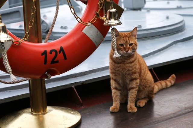 スラヴァ級ミサイル巡洋艦_3