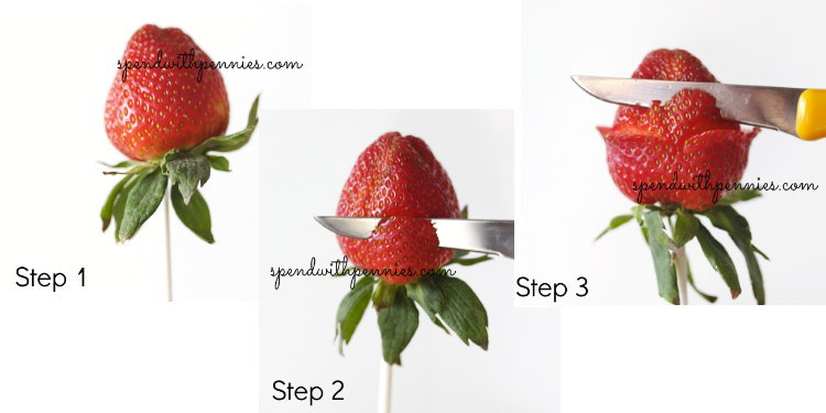 イチゴをバラ模様にする方法 Zapzap 世界の面白いニュース