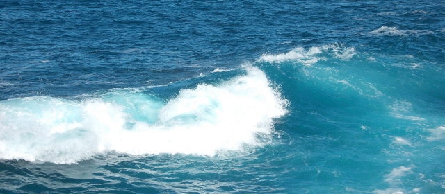海水