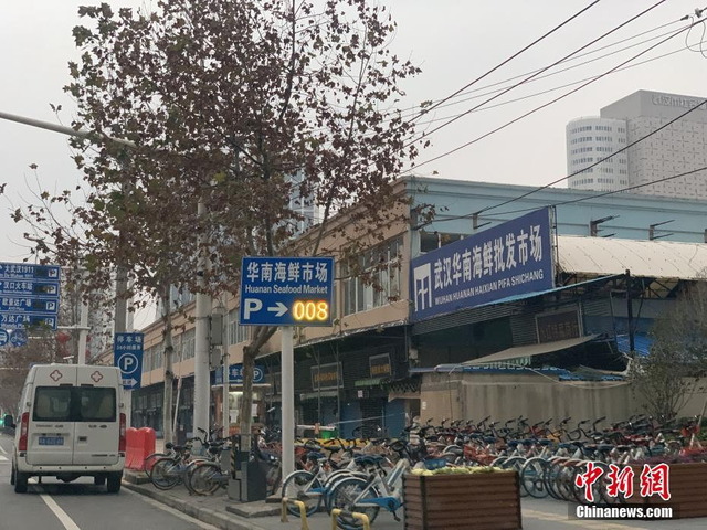 武漢華南海鮮卸売市場_4