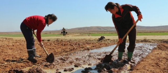 北朝鮮で餓死者続出か「共和国非常局面」と報道も