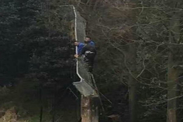 image_2