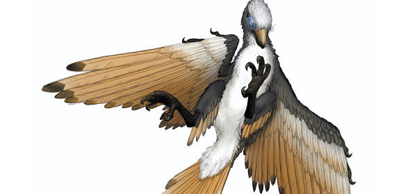 新種の鳥類