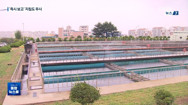 韓国水道水幼虫2