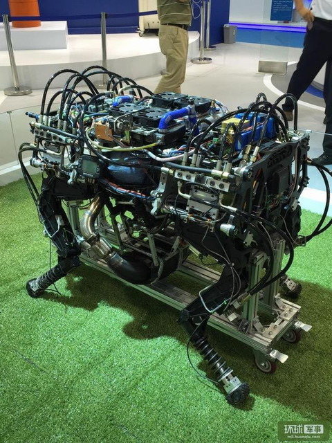 中国版ビッグドッグ