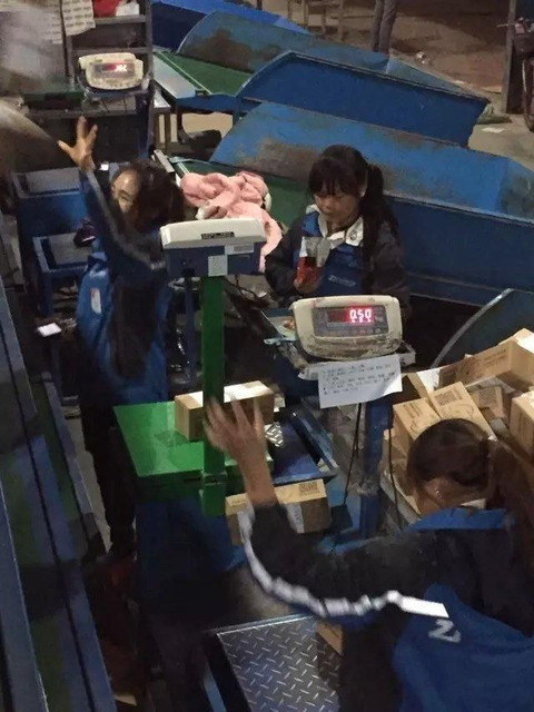 image_2