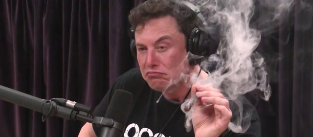 【奇行】イーロン・マスク氏、プーチン大統領に決闘を申し込む※ただしTwitterで