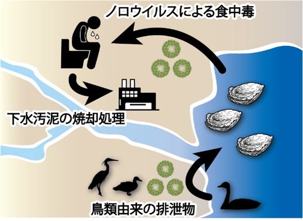 29d3bc99193cb0b837fb8cc53f050ae5-2