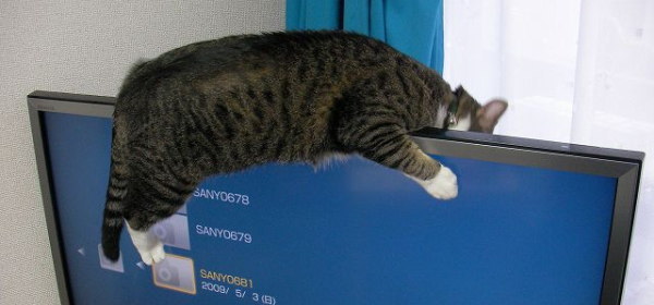 液晶テレビの転倒