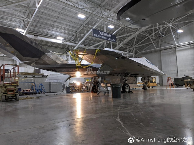F-117 無塗装_1