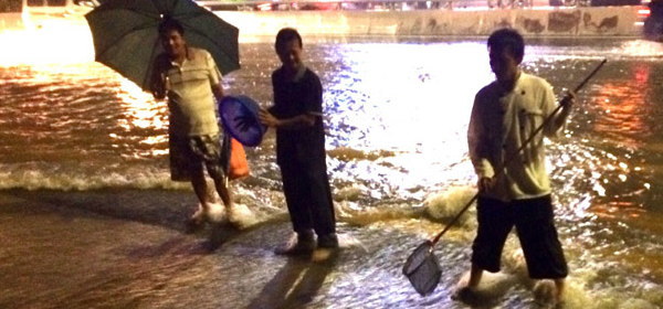 深セン市豪雨