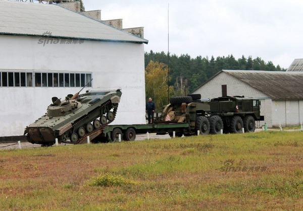 BMP_9