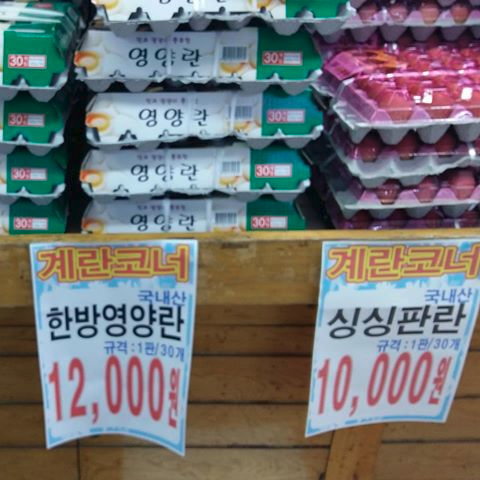 韓国 卵_1