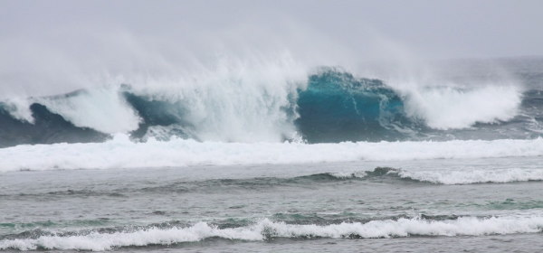 海