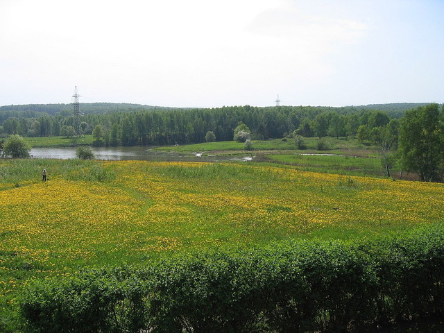 ビツァ公園
