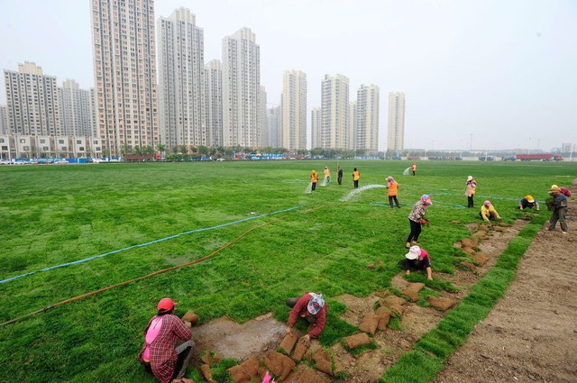 image_44