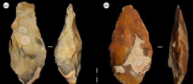 これが60万年前の原人が作った石器