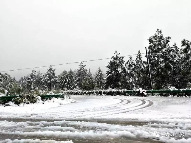 黒竜江省の初雪_3