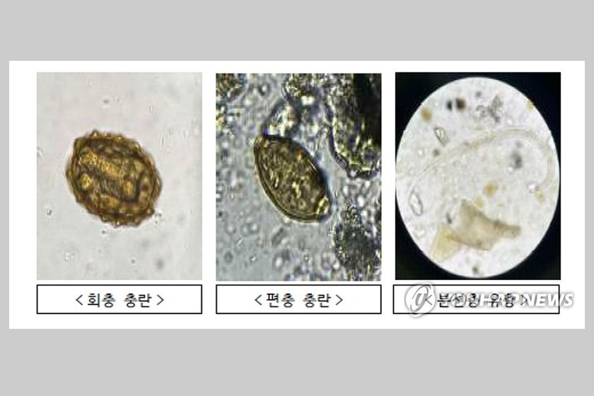 北朝鮮の汚物風船から『寄生虫』『継ぎ接ぎだらけの服』