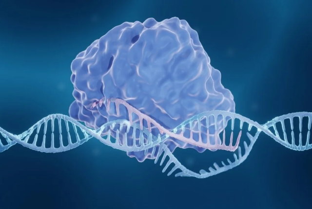 米、新世代のゲノム編集技術で認知症を防ぐ研究